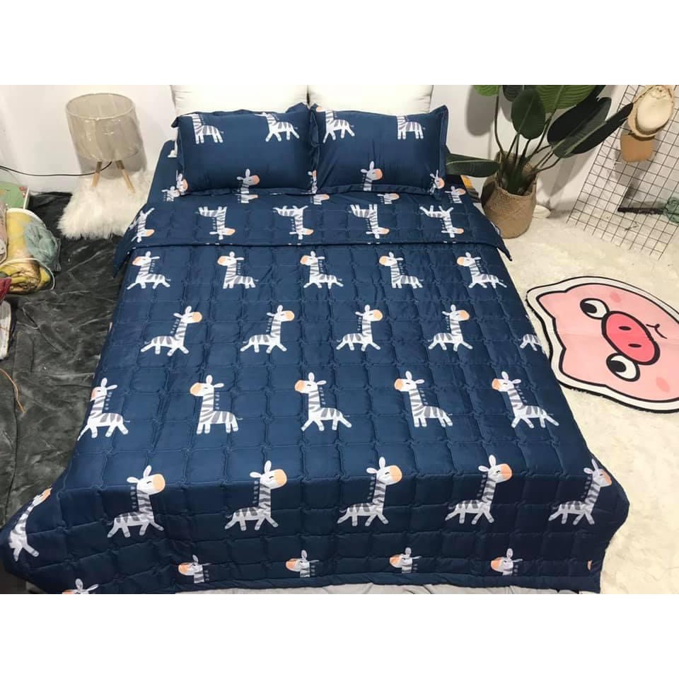 (FREESHIP) Combo 4 món bộ drap ga giường chất liệu cotton poly hàn quốc