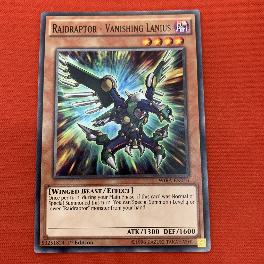 Raidraptor - Vanishing Lanius