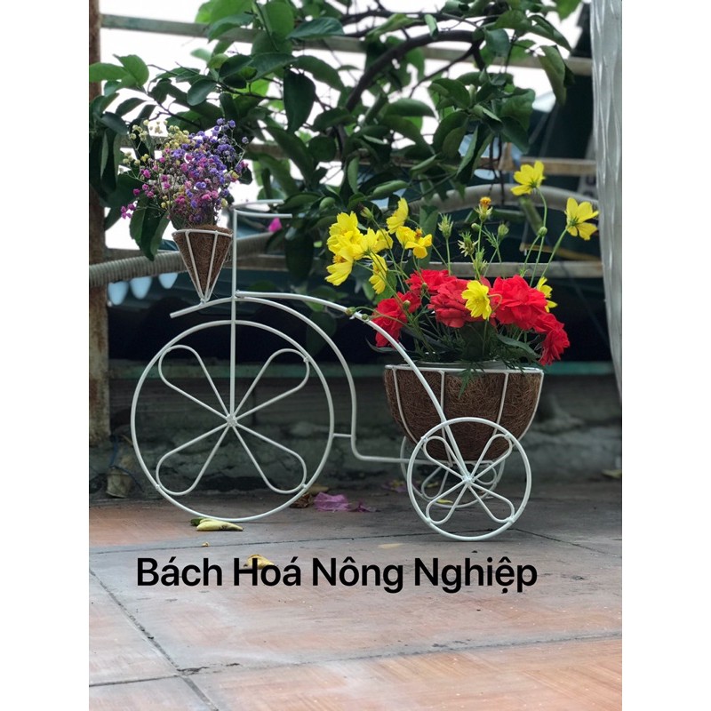 Chậu hoa mỹ nghệ độc đáo - xe đạp sơ dừa