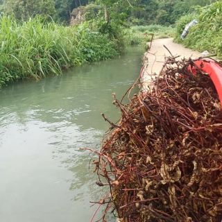 ( mã SPE72339 hoàn 10k xu)  1kg thạch đen nương Quang trọng
