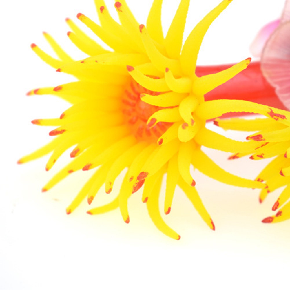 San hô nhân tạo nhiều màu sắc trang trí hồ cá