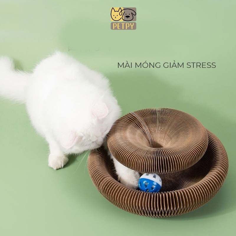 Đồ chơi vòng tròn ma thuật cho mèo, bàn cào móng giảm stress