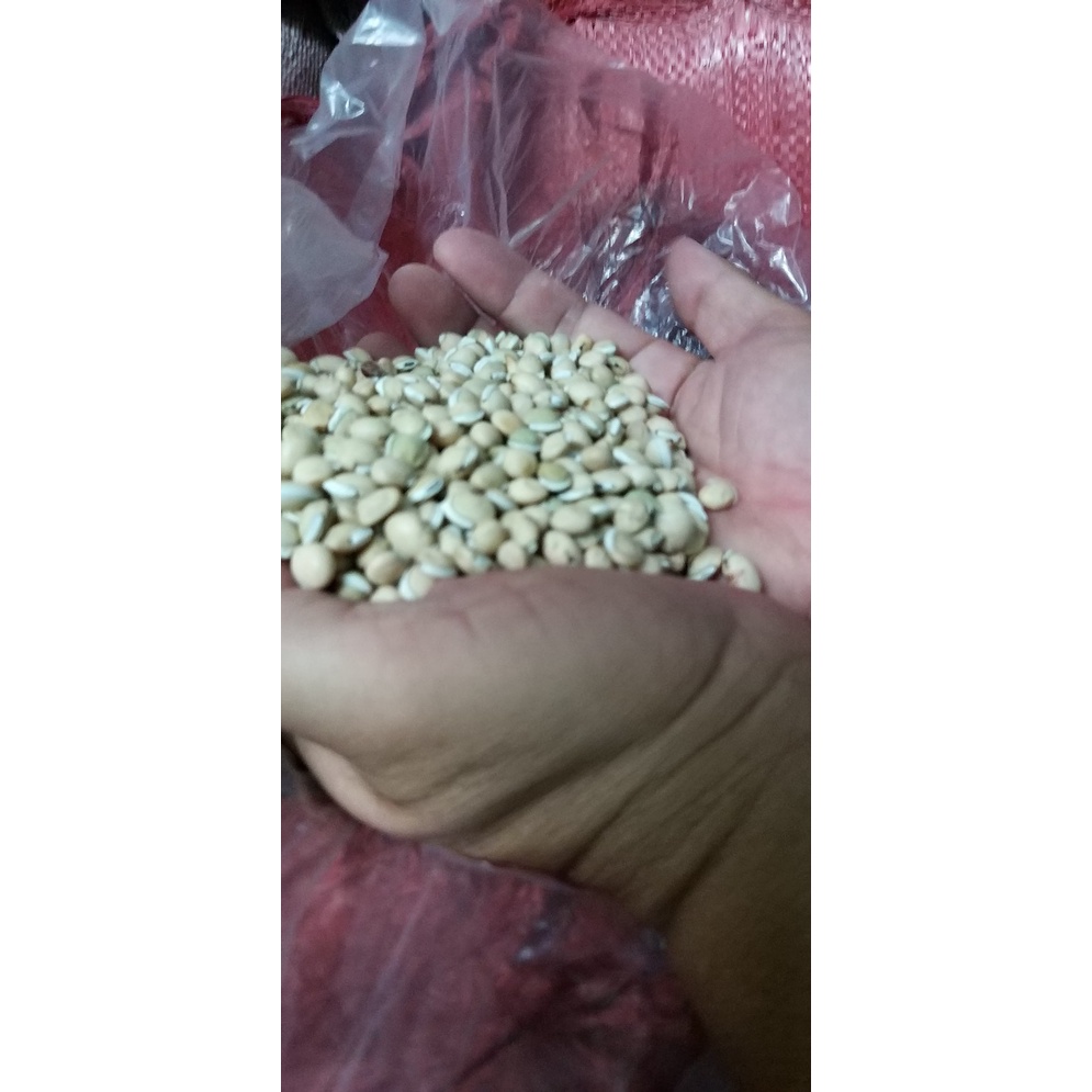 1 kg hạt đậu ván trắng