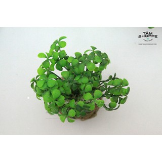 CHẬU MẦM ĐÁ MINI VINTAGE SỐ 44