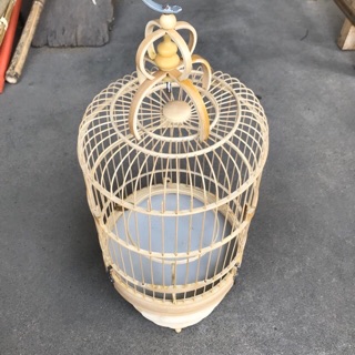 Lồng khuyên trúc