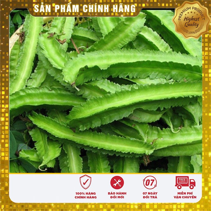 Hạt Giống Đậu Rồng LUCKY SEEDS ( Đậu Khế )