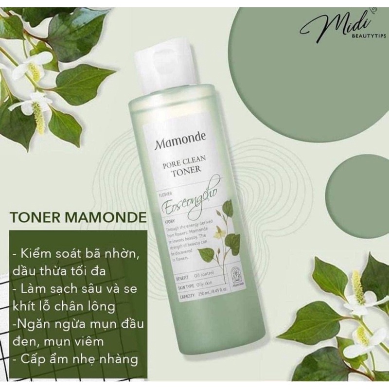 Toner diêp cá kiềm dầu mamode