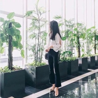 Quần bò loe rua gấu co giãn 4 chiều
