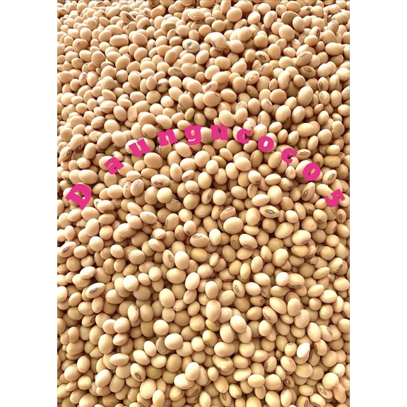 Đậu Nành (Đậu Tương) Phương Lâm hạt nhỏ (1kg)