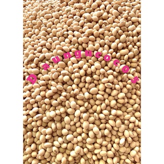 Đậu Nành (Đậu Tương) Phương Lâm hạt nhỏ (1kg)