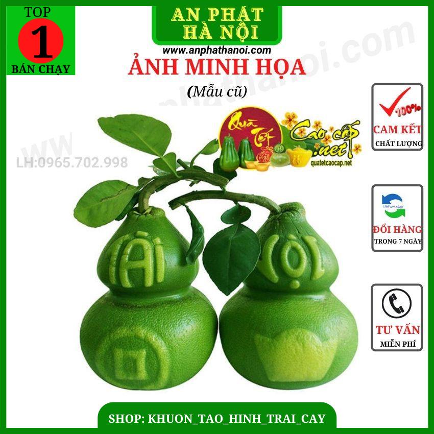 Khuôn tạo hình trái cây hồ lô 2 bầu loại đẹp - Khuôn bưởi TÀI LỘC loại dày kèm đủ phụ kiện