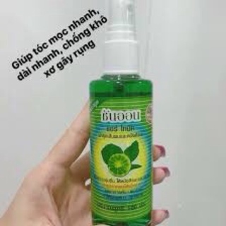 XỊT TÓC BƯỞI THÁI lAN