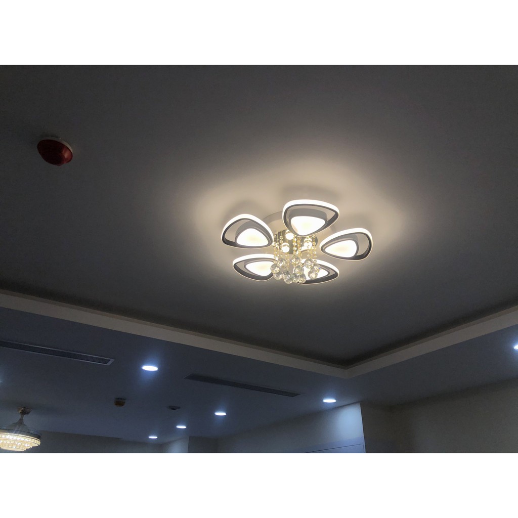 Đèn ốp trần phòng khách phòng ngủ trang trí 5 cánh phale tăng chỉnh sáng hiện đại có 3 chế độ sáng tăng chỉnh Mã 2066/5