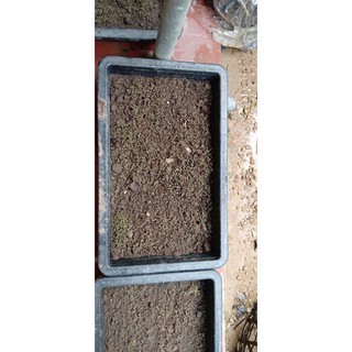 1kg Đất dinh dưỡng cho cây trồng