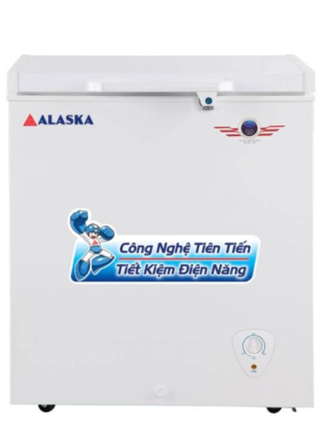 Tủ đông một ngăn 300 lít BD300