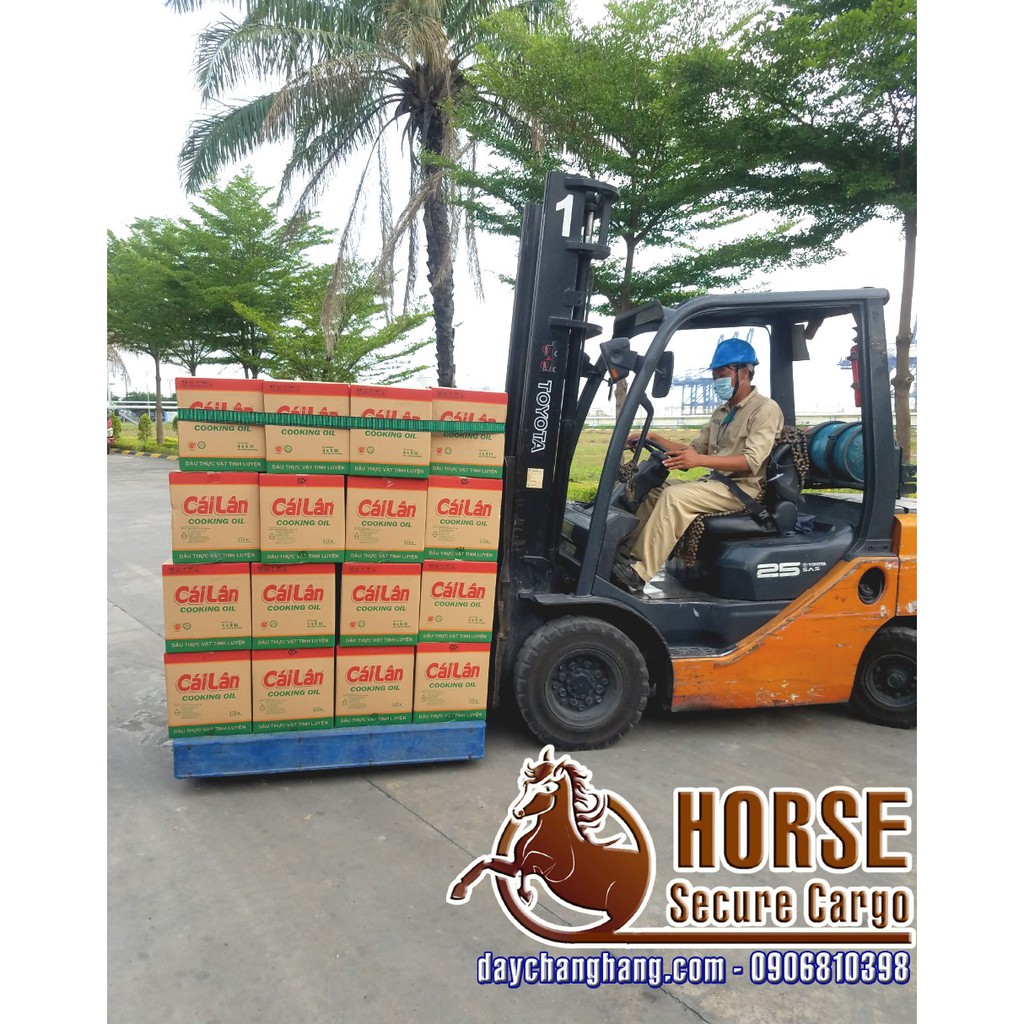 Dây thun chằng pallet bản 50mmx4m có khoen móc điều chỉnh
