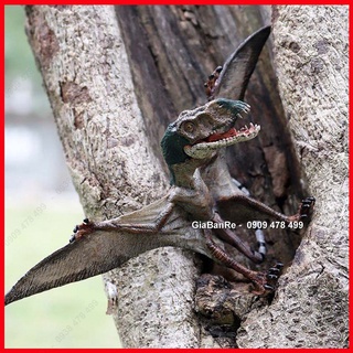 Mô Hình Khủng Long Thằn Lằn Bay Dimorphodon - 7748