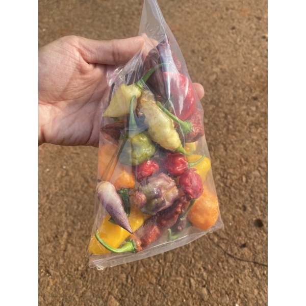 100 gram trái ớt tươi  mix đủ loại, đủ màu