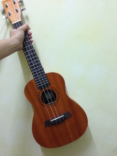ukulele andrew concert