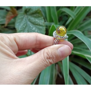 Nhẫn hổ phách đổi màu thời trang