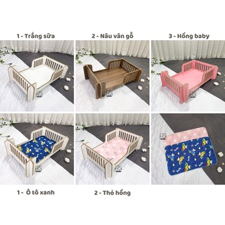 Giường ngủ thú cưng ( Tặng thảm nỉ lót)