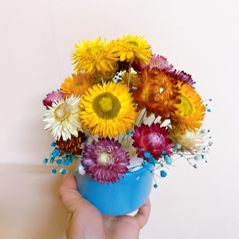 Lọ hoa cúc bất tử mix baby cực xinh (Size lớn)