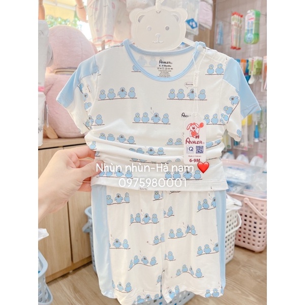 Bộ Avaler cộc tay mẫu mới (sợi tre cải tiến) size 6-9m đến 3-4y