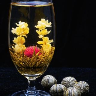 Trà nở hoa