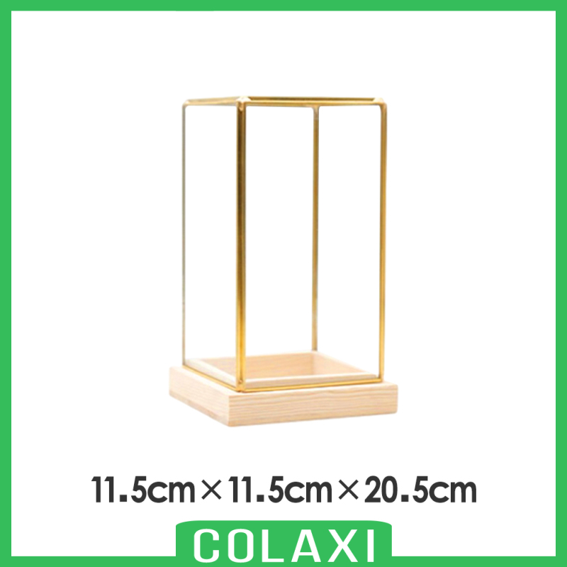 [COLAXI]Glass Display Case Decorative Cuboid Antique Artwork Showcase Terrarium