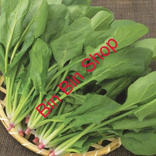 Hạt giống rau cải bó xôi - chân vịt (20 gr)
