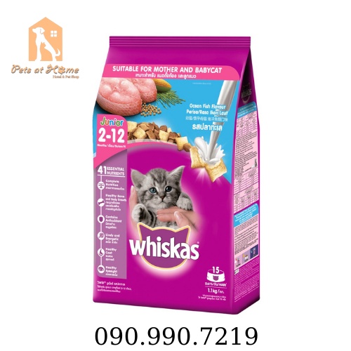 Thức ăn mèo con Whiskas 1,1kg