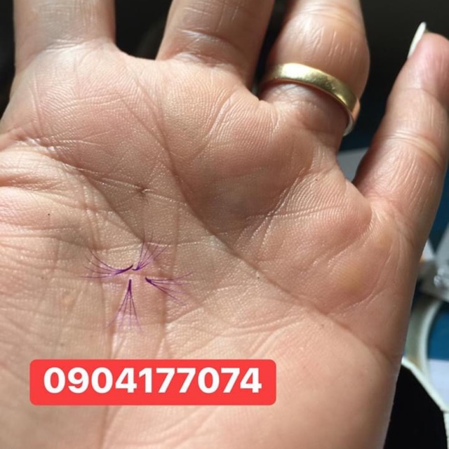 Mi màu 4d hộp 500 fan