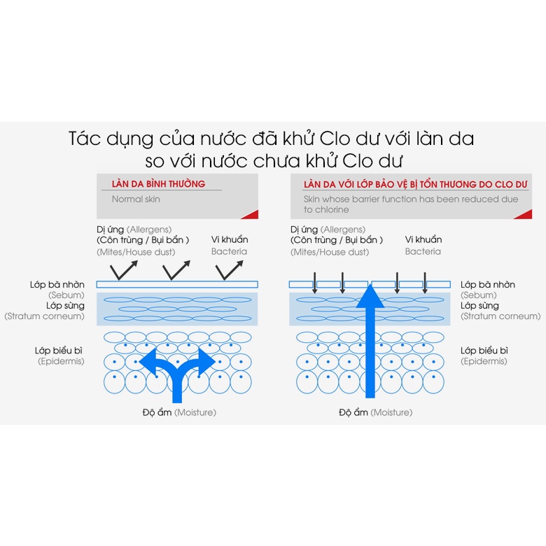 Bộ 2 lõi lọc nước vòi sen thay thế Mitsubishi Cleansui ESC21W  - Hàng chính hãng