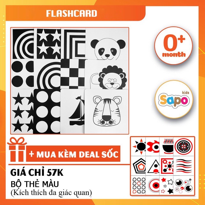 Flashcard cho bé, thẻ học Glenn Doman kích thích thị giác cho trẻ sơ sinh SAPO KIDS