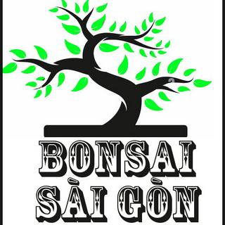 Chậu Bonsai Sài gòn