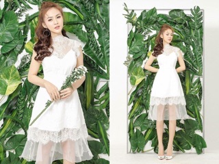 Đầm ren cao cấp