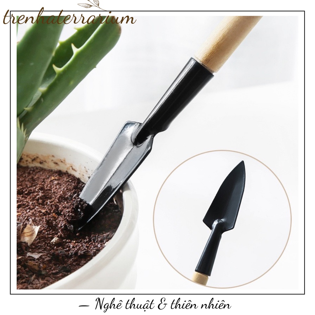 Dụng cụ làm vườn mini bộ 3 món - terrarium