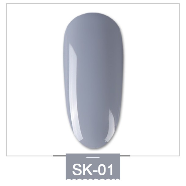 Sơn lẻ gel AS xám khói 6 màu SK