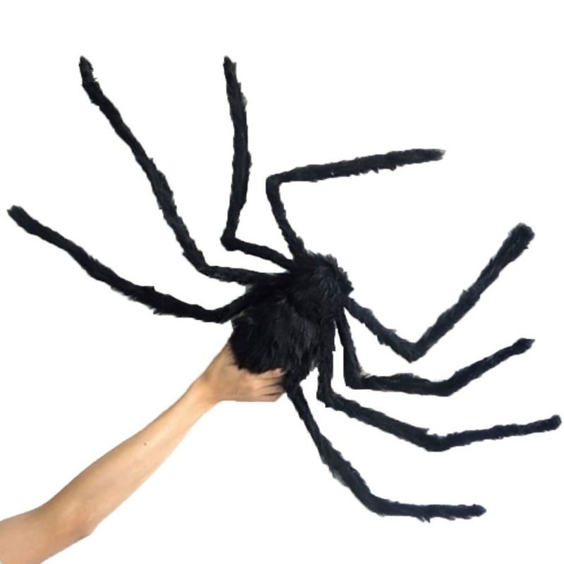 Nhện lông khổng lồ, mạng nhện...trang trí Halloween