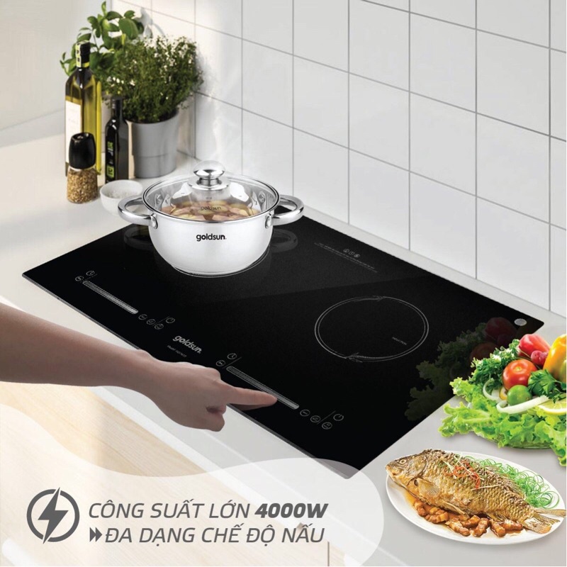 Bếp Điện Từ Đôi Goldsun GDI7410