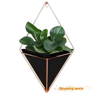 Bộ 2 chậu cây treo tường mini