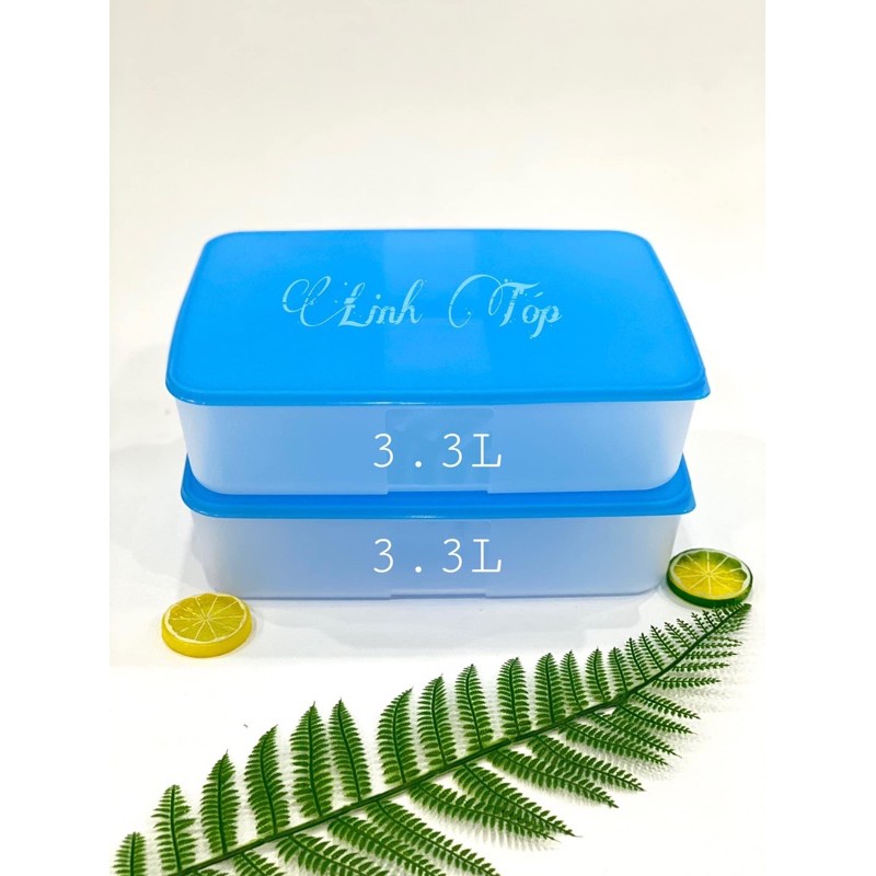 Hộp trữ đông 3.1L Tupperware