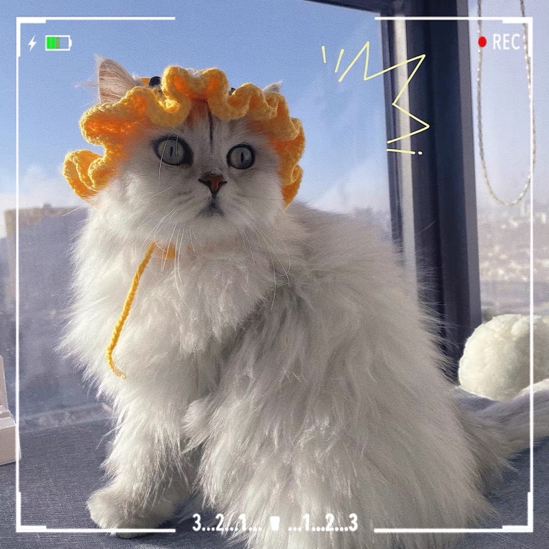 Nón len lân mặc tết cho mèo, cún, thỏ,…