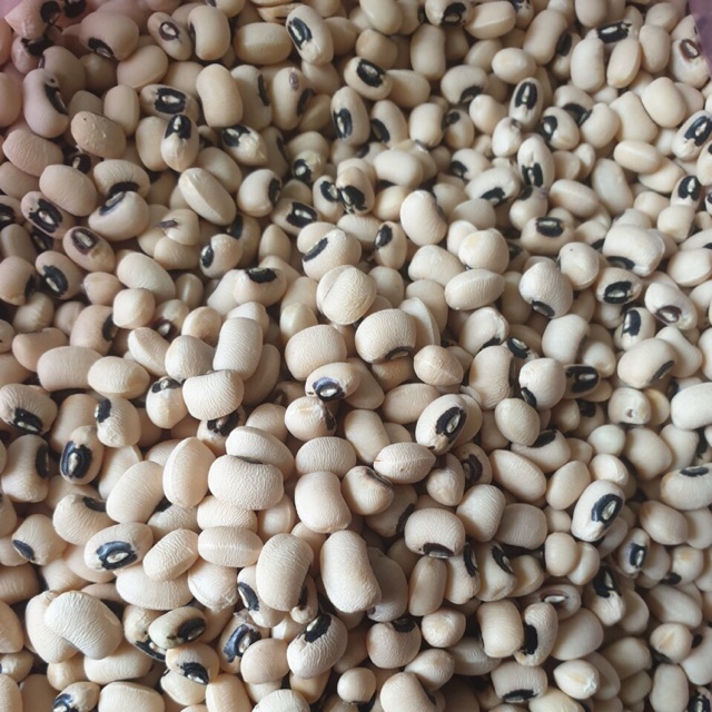 Đậu trắng( đậu sạch nhà vườn) 500gr