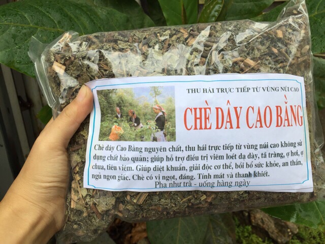Combo 5kg Chè dây Cao Bằng hỗ trợ viêm loét dạ dày, tá tràng, HP
