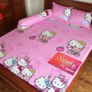 Bộ ga gối cotton nhung