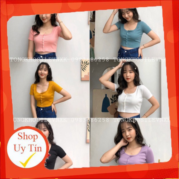 ÁO CROPTOP LEN TĂM CÚC DỌC 6 MÀU LOẠI MỚI - CROPTOP CÚC NGỰC TÍM XANH MINT HOT - mẫu mới [ Có sẵn ]