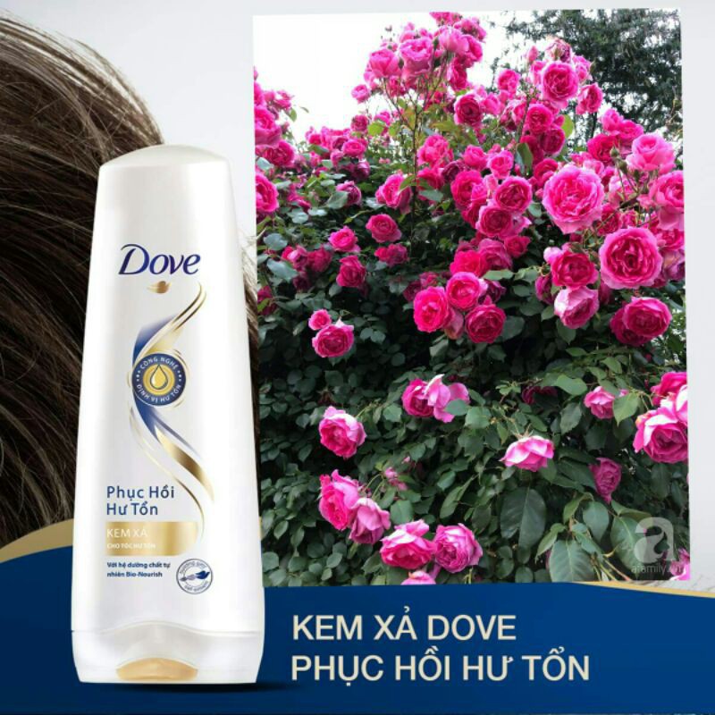 Kem xả Dove 140g ( hàng khuyến mại )