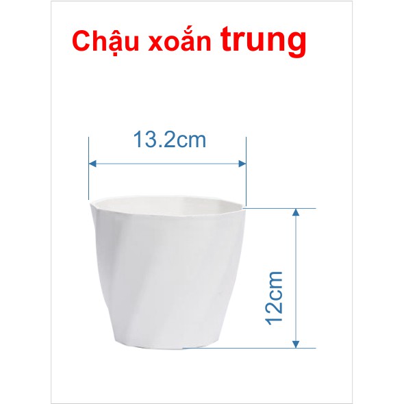 Combo 5 chậu xoắn ốc nhỡ kt 13x12cm