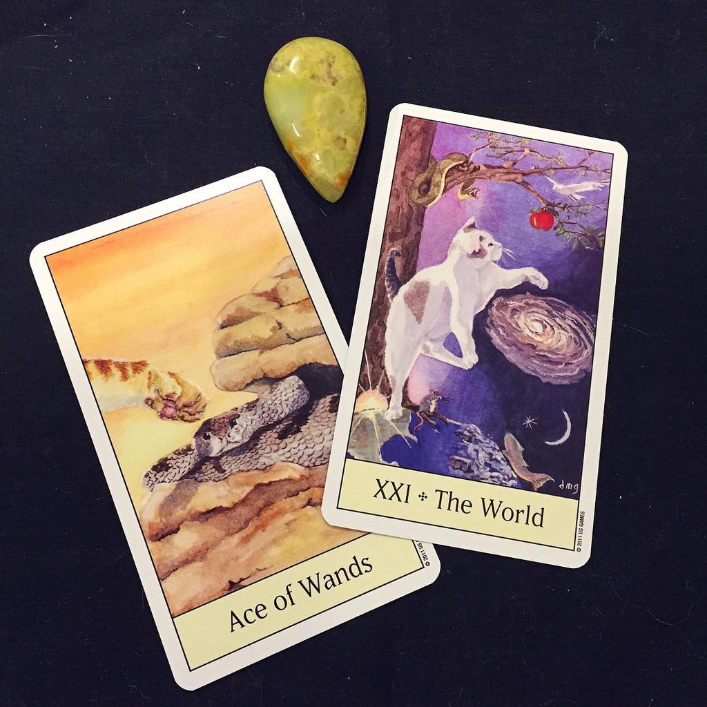 Bài Cat’s Eye Tarot